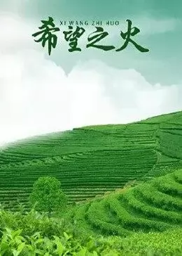 西游超级粉