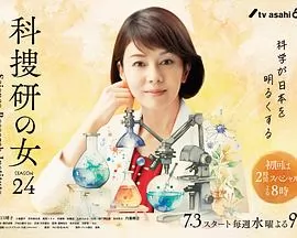 科搜研之女第24季